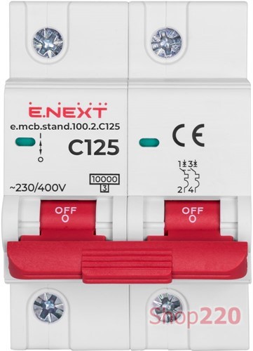 Автомат 125 А, 2-полюсный, тип С, e.mcb.stand.100.2.C125 Enext - фото 105104