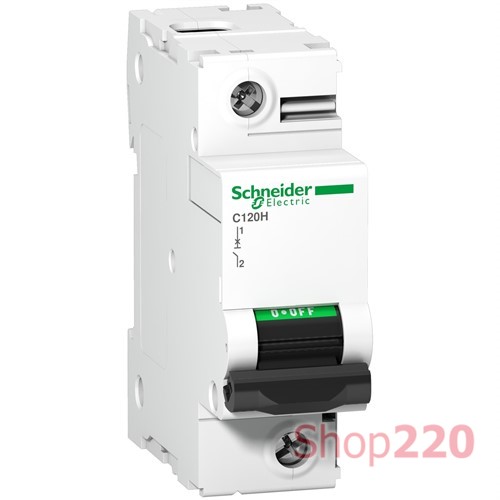 Автоматический выключатель 125А, 1 полюс, кривая B, C120H Acti9 Schneider Electric - фото 106176