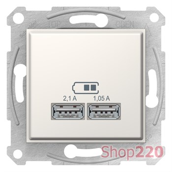 USB розетка, кремовый, SDN2710223 Schneider Electric Sedna - фото 47859