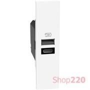 Розетка USB на 2 разъёма тип - A/C 15 Вт/3000мА 1 модуль, белый, Bticino Living Now