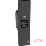 Розетка USB на 2 разъёма тип - C/C 15 Вт/3000мА 1 модуль, черный, Bticino Living Now