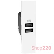 Розетка USB на 2 разъёма тип - C/C 15 Вт/3000мА 1 модуль, белый, Bticino Living Now
