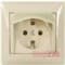 Розетка в сборе