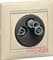 Розетка в сборе