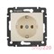 Розетка с заземлением, слоновая кость, 774320 Valena Legrand - фото 45358