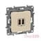 Розетка USB, слоновая кость, 672394 Legrand Etika - фото 45578